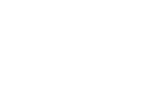 Ptopy Logo